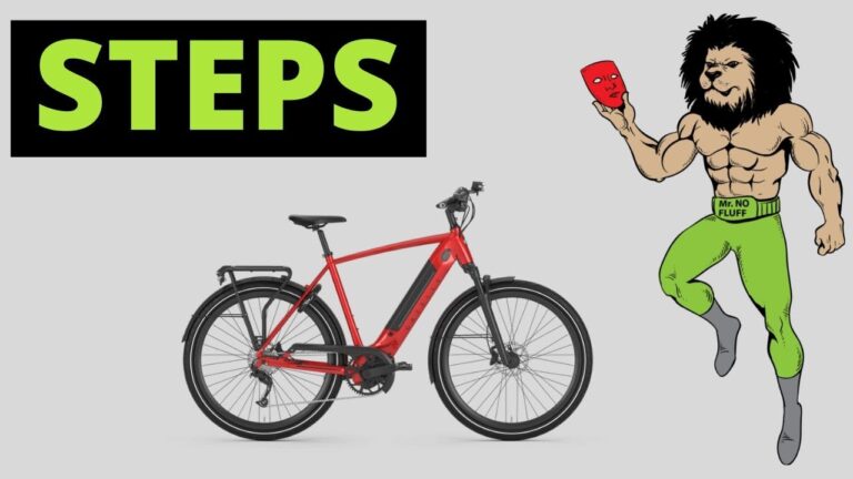 Flipping Bicycle as a beginners with no cash